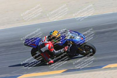 media/Feb-03-2024-SoCal Trackdays (Sat) [[767c60a41c]]/10-Turn 10 Inside (130pm)/